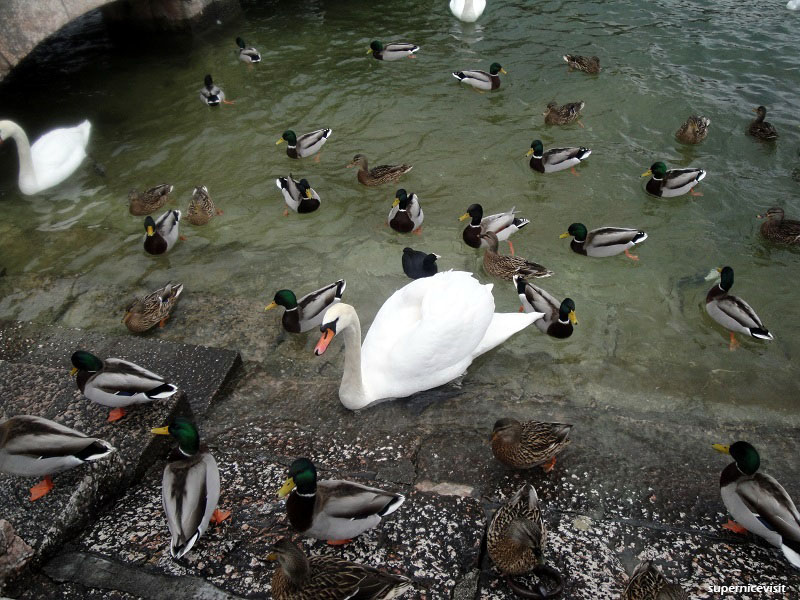 Gmunden