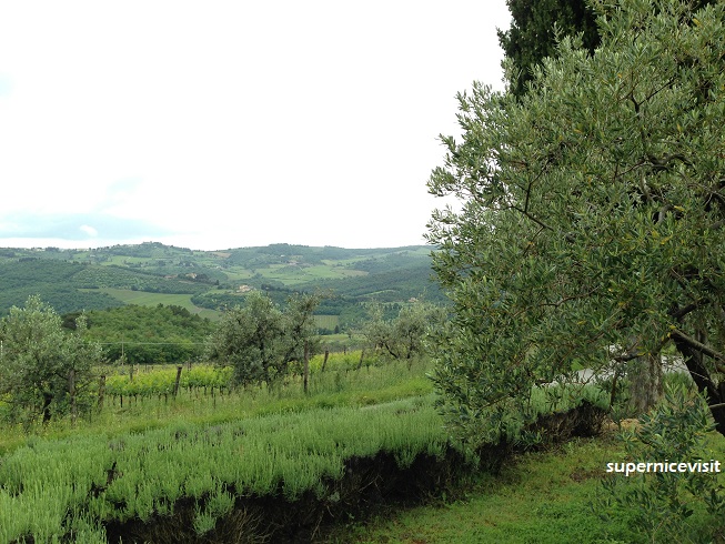 Agricola Querciabella SpA