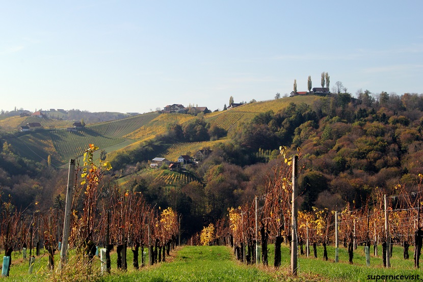 Südsteiermark, Şarap bölgesi supernicevisit