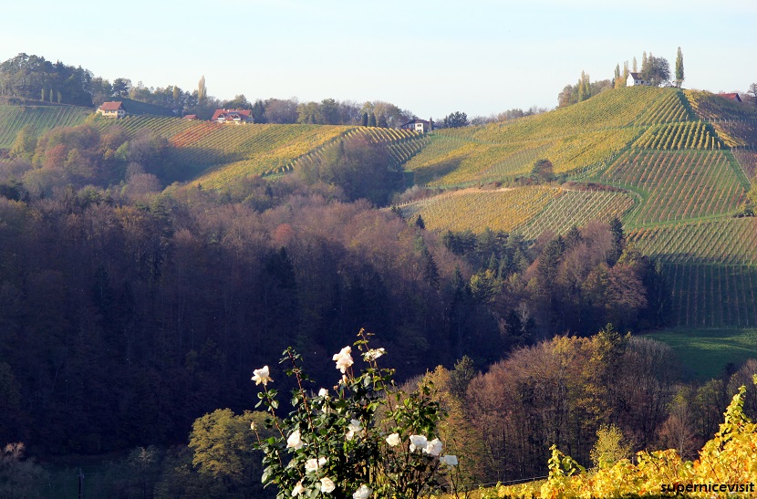 Südsteiermark, Şarap bölgesi supernicevisit
