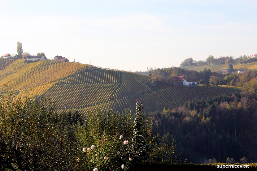 Südsteiermark, Şarap bölgesi supernicevisit